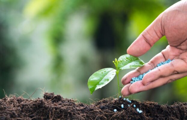 Why Ceon Plant Nutrition Products?