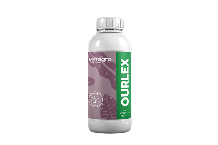 ourlex